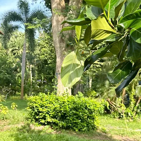 Aforetime Village Amphoe Koksamui Room photo