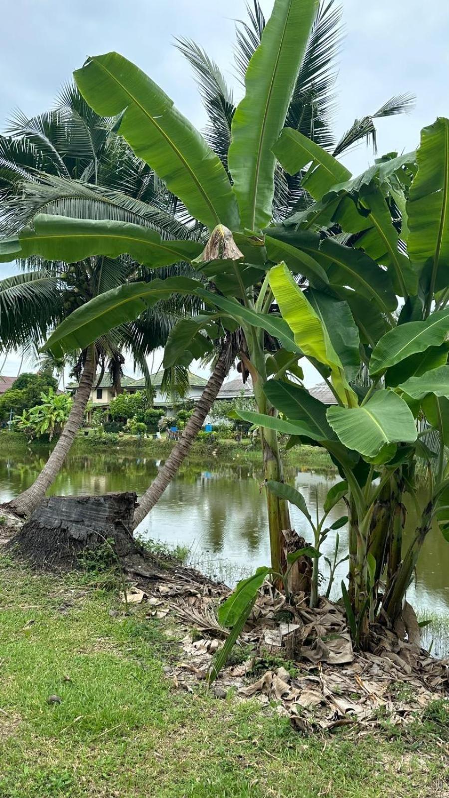 Aforetime Village วิลล่า *