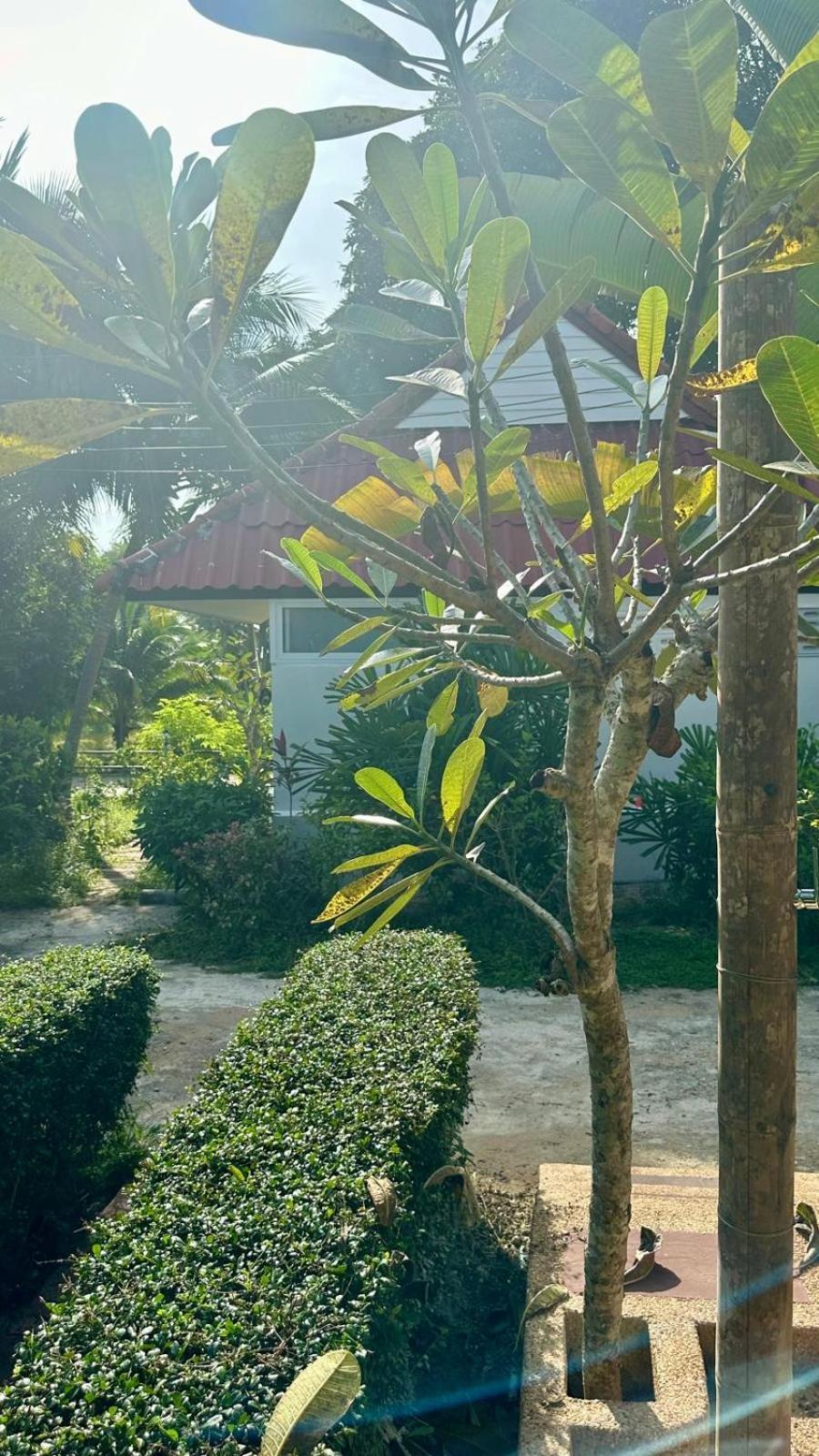 Aforetime Village